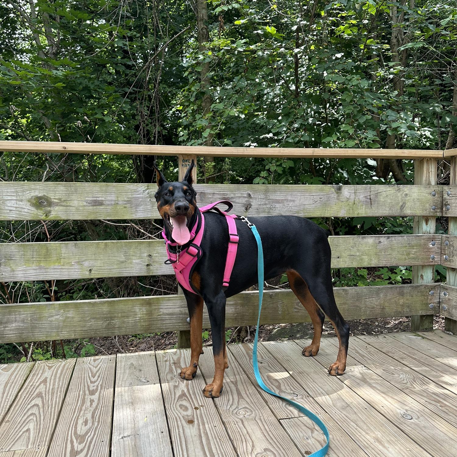 REMI