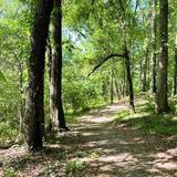 First Broad River Trail