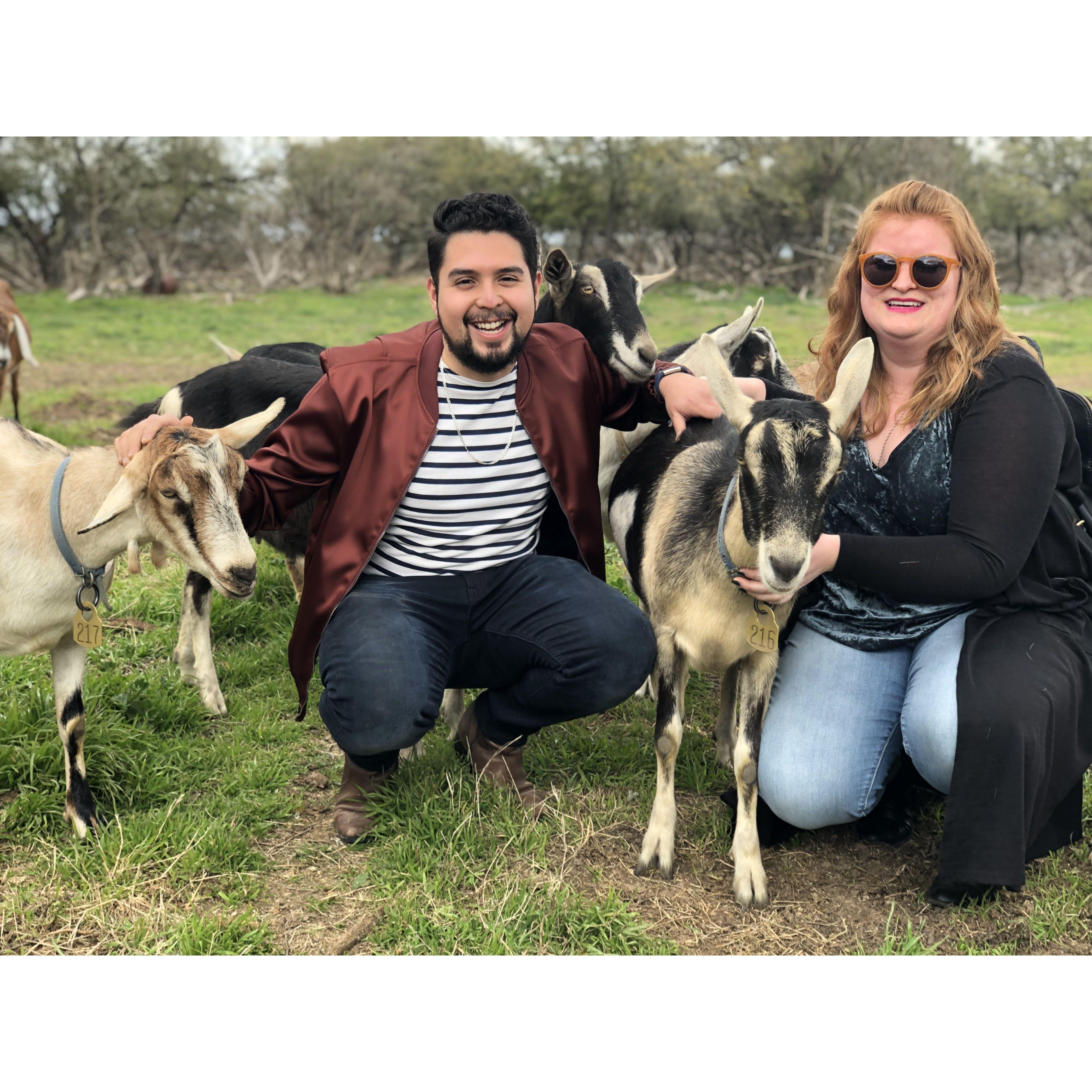 Toured a goat cheese farm with Antonelli's as an anniversary date!