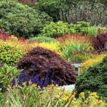Check out the Botanical Gardens