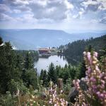 Mummelsee Black Forest