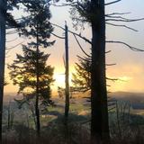 Bald Peak State Scenic Viewpoint