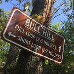 Bull Hill