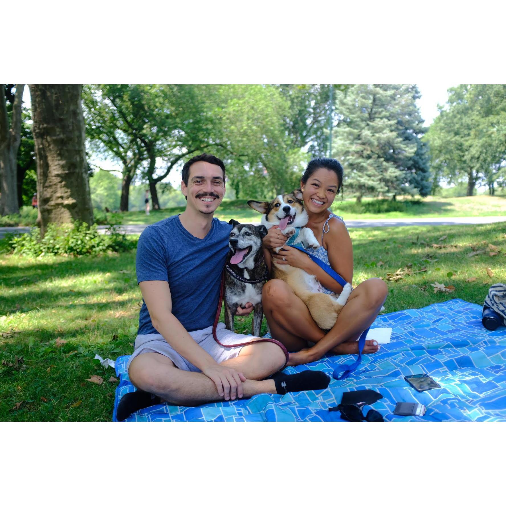 Adventures with Tiger & Flynn part 1