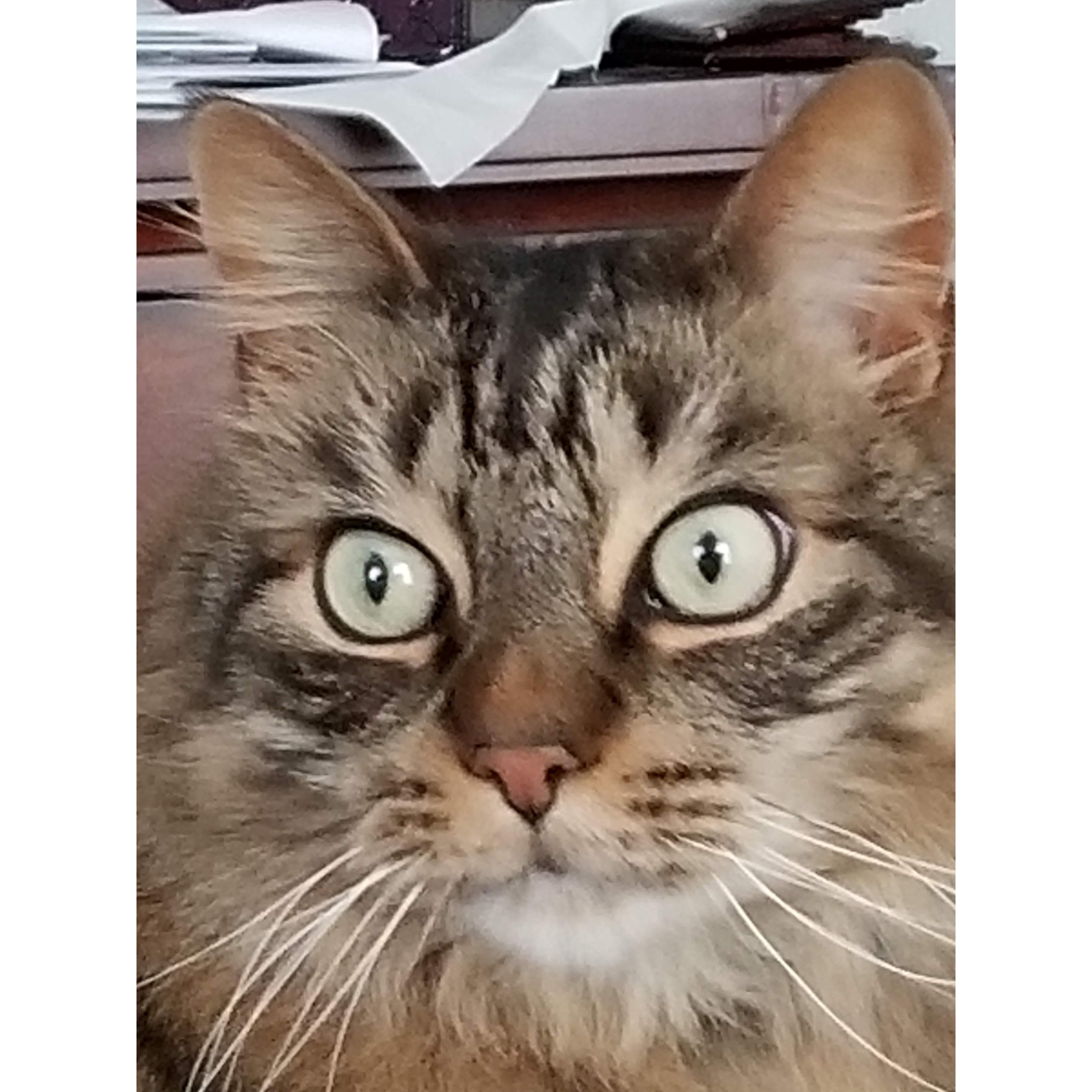 At least one "person" was shocked by our engagement news