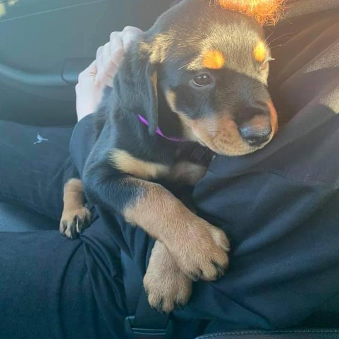 The day we brought Liliana home!