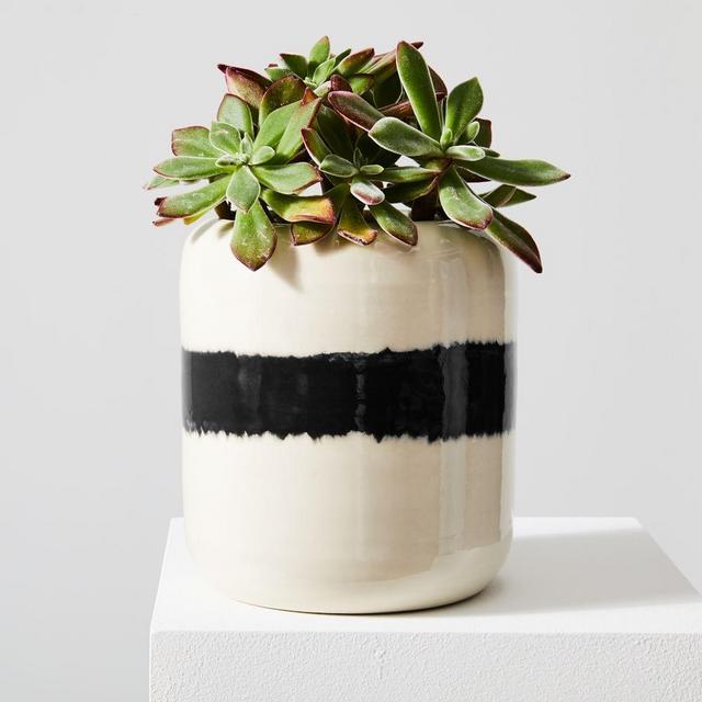 Blur Planter, Large, White