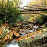 Boone Fork Trail