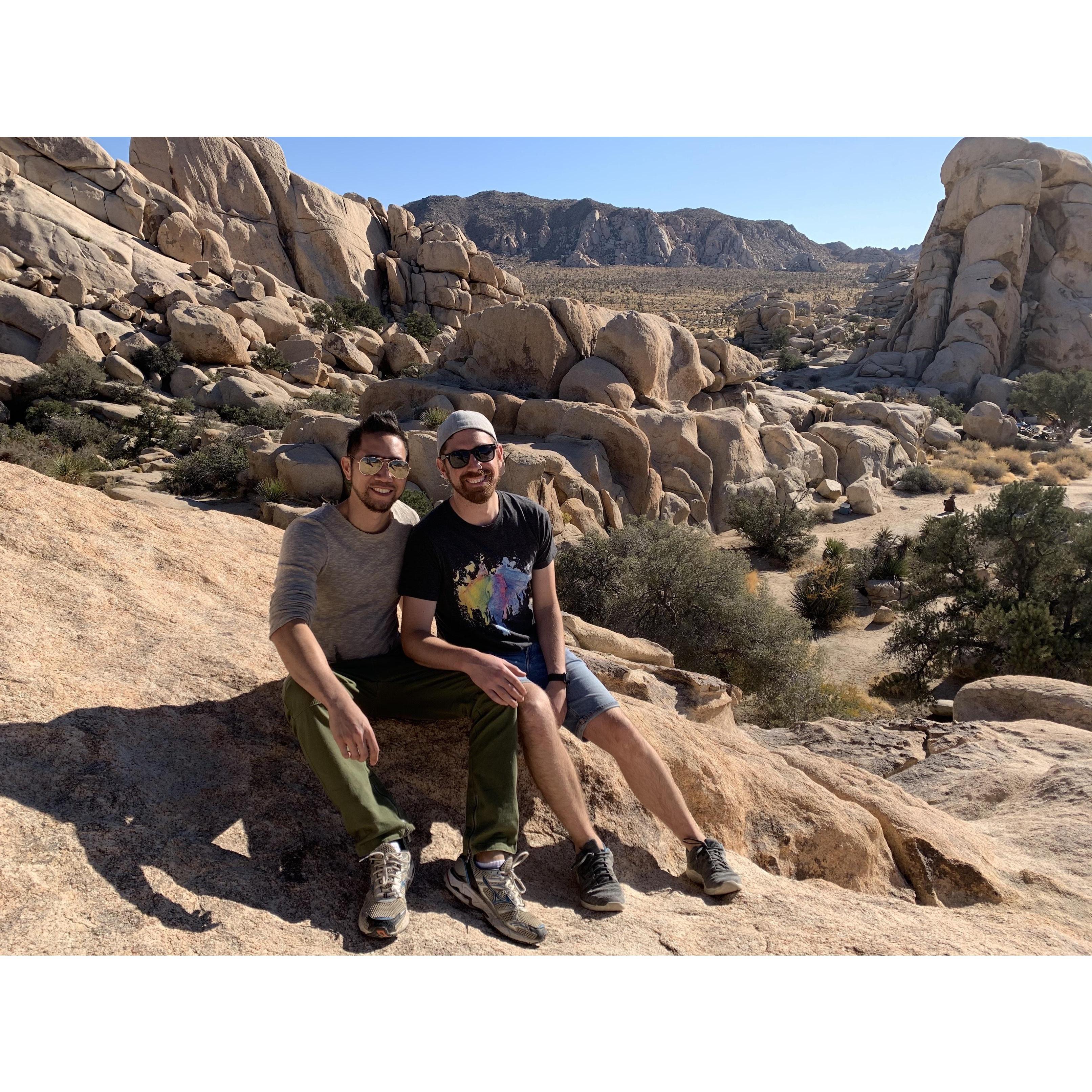 Joshua Tree
November 2019