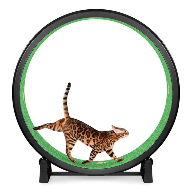 One Fast Cat - Cat Exercise Wheel - Gen. 7 - Safe 48" Diameter - Made in The USA - Black Wheel with Tropical Frogs Foam Traction Pads and Solid Inline Wheels