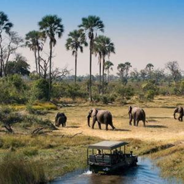 Zanzibar & Safari Honeymoon Fund