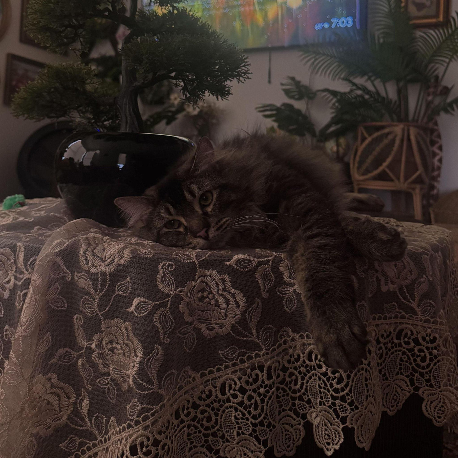 Stuart <3