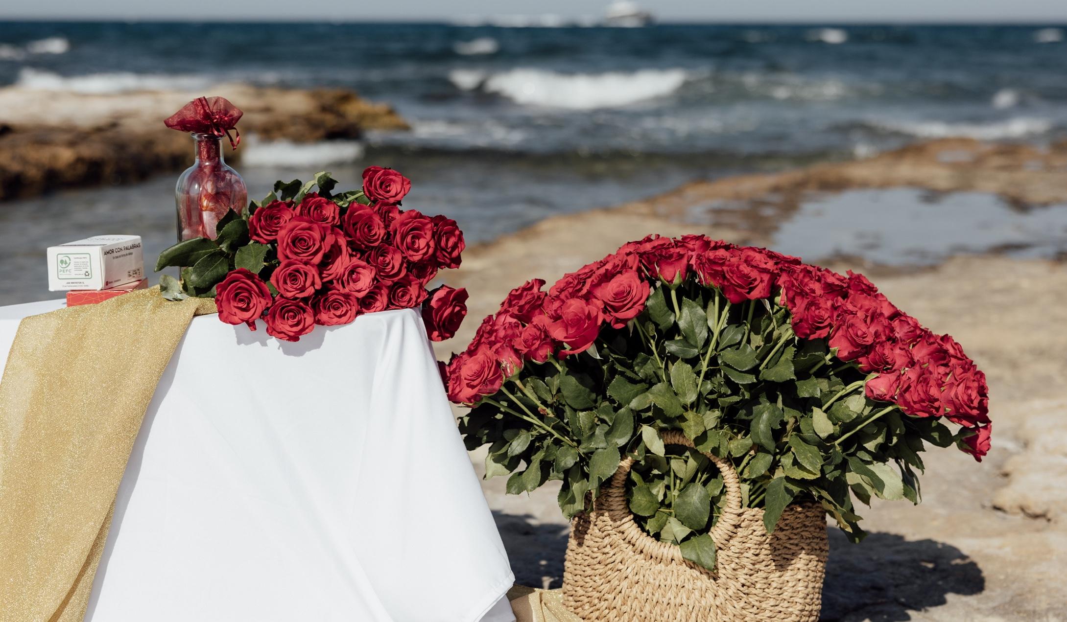 The Wedding Website of Jenna Wilcox and Daniel Rogers