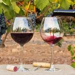 Napa: Wine Tasting & Oxbow Public Market
