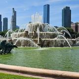 Buckingham Fountain Flower Gardens