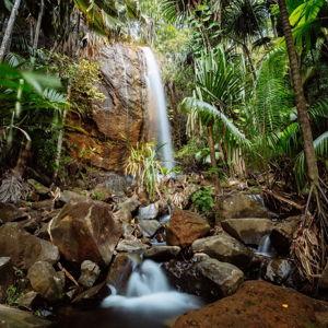 Copolia Trail guided hike in Seychelles