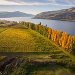 Columbia Valley Vineyards