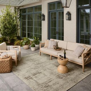Saylor Indoor/Outdoor Accent Area Rug