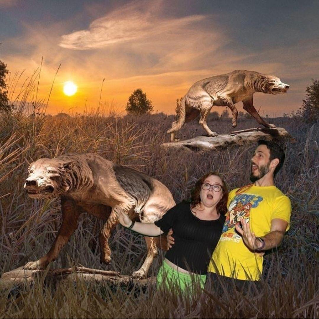 La Brea Tar Pits Dire Wolves