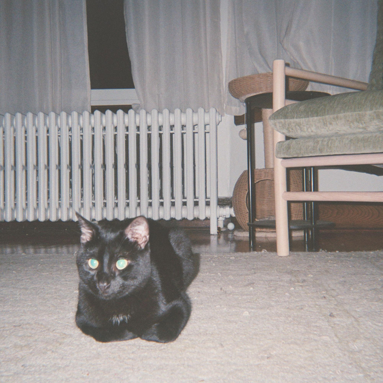 Our Sweet Boy Salem