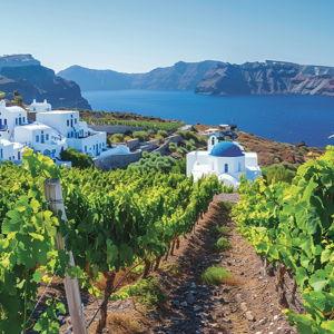 Santorini Wine Tour