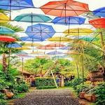 For Families: Big Garden Corner