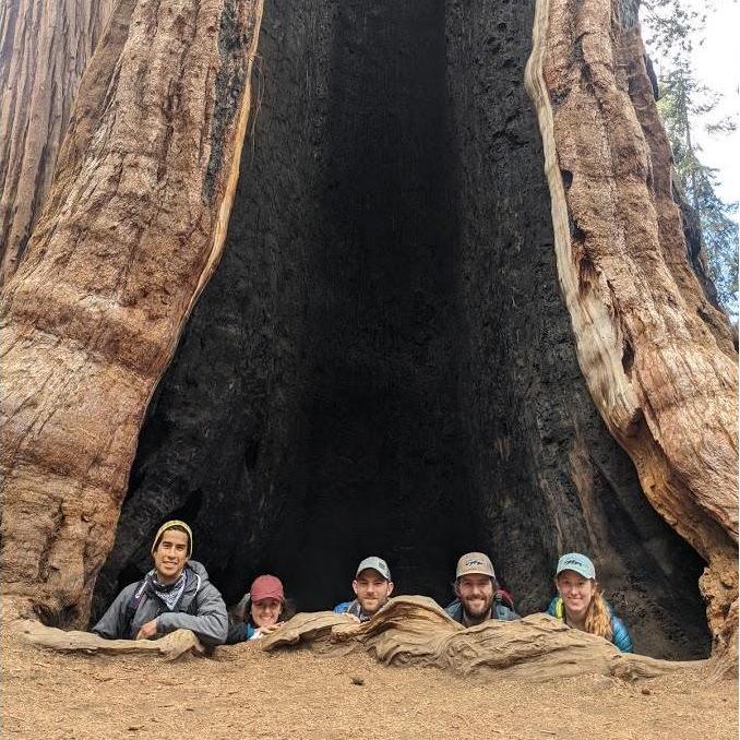 Sequoia National Park