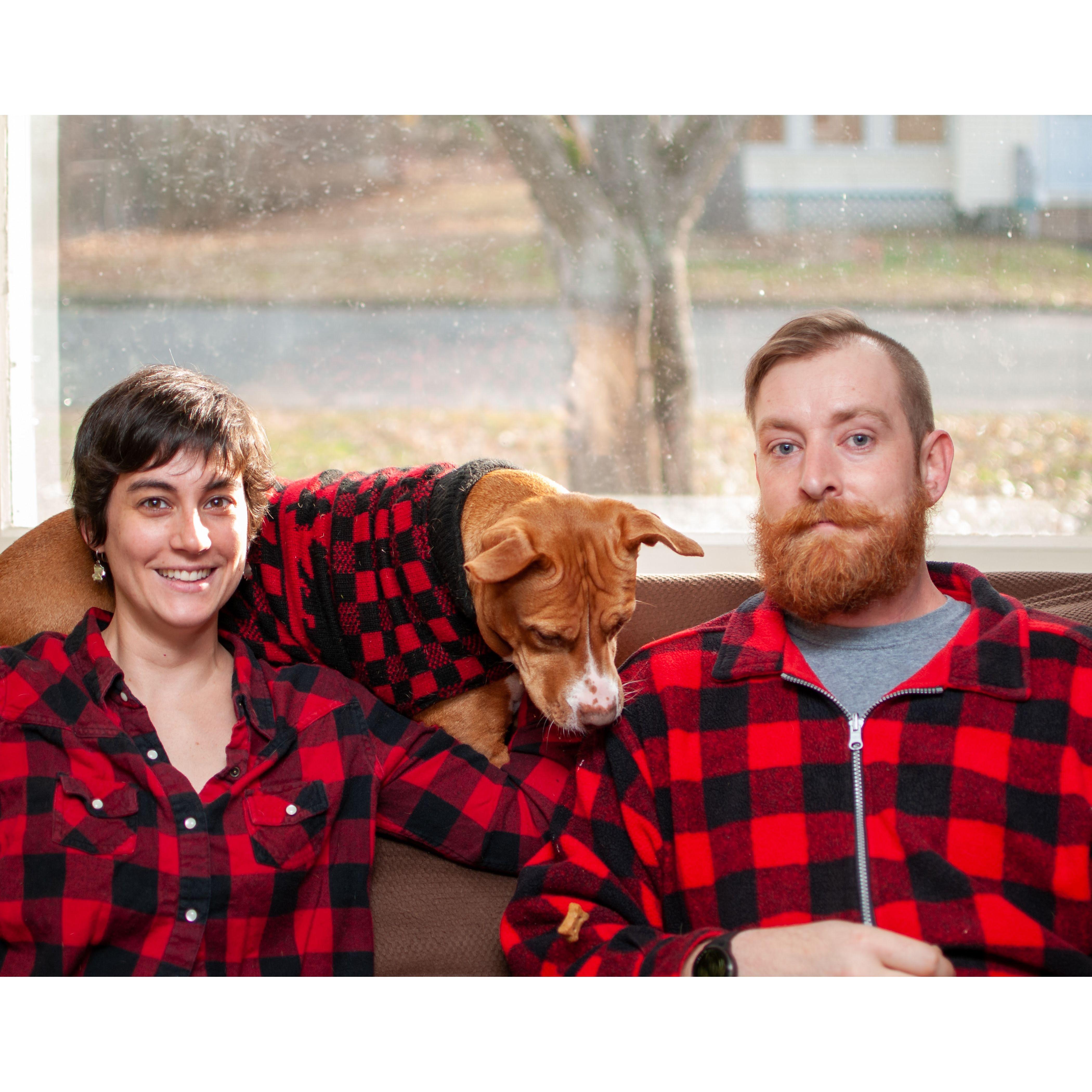 2020 Christmas Card, Annie watching the treat