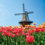 1) Holland Recommendations