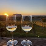 Sabár Borház - Wine Tasting