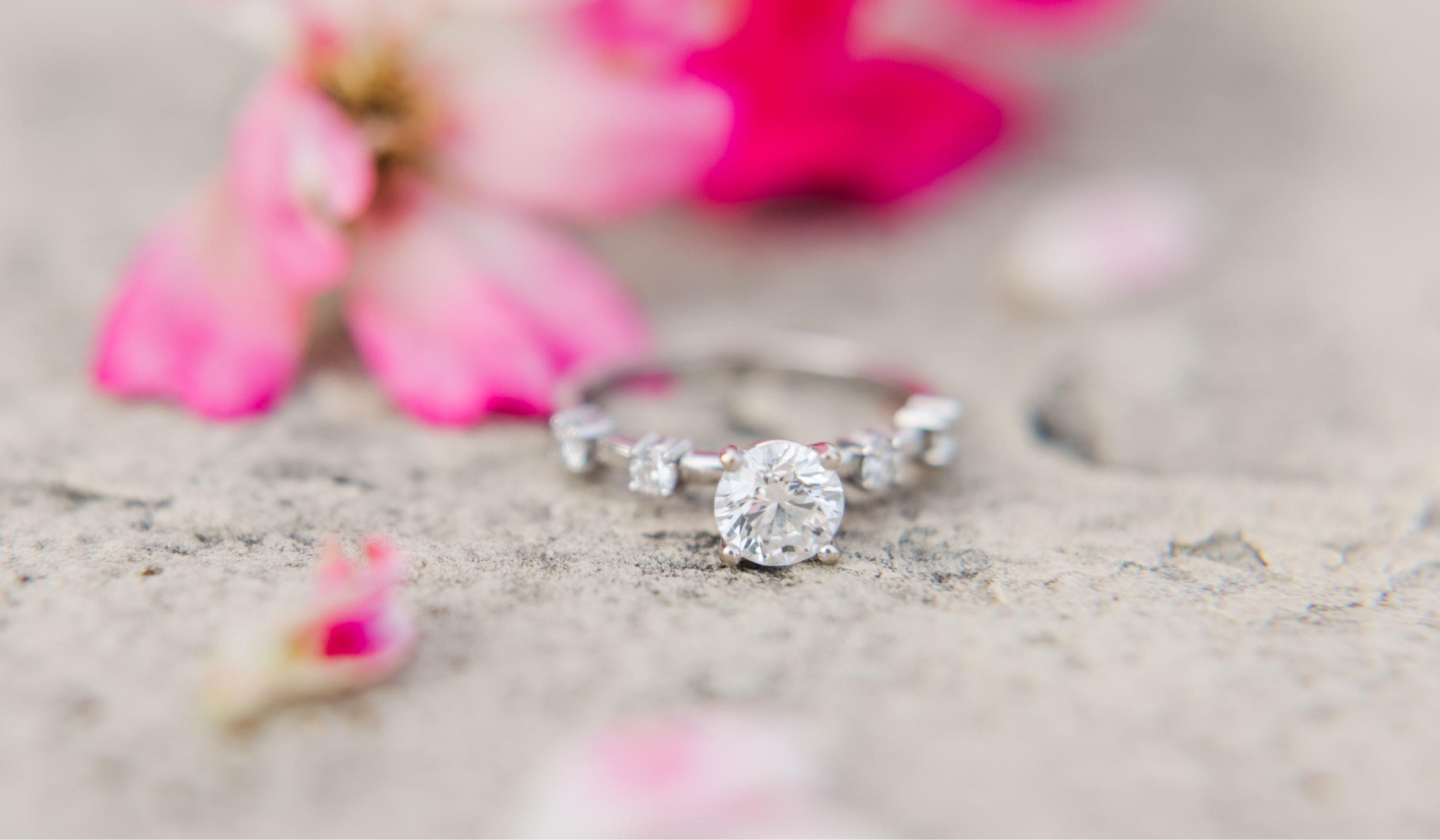 Hero Slideshow Image 5