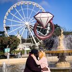 Golden Gate Park & SkyStar Ferris Wheel