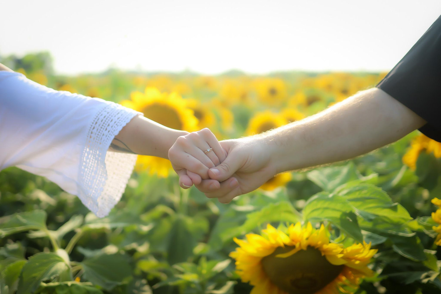 The Wedding Website of McKenna Cook and Dylan Pluta
