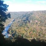 Carnifex Ferry Battlefield State Park