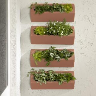 Dalya Outdoor Wall Planter, Set of 4