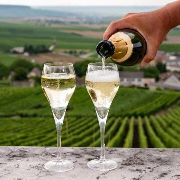 Toasting in the Champagne Countryside