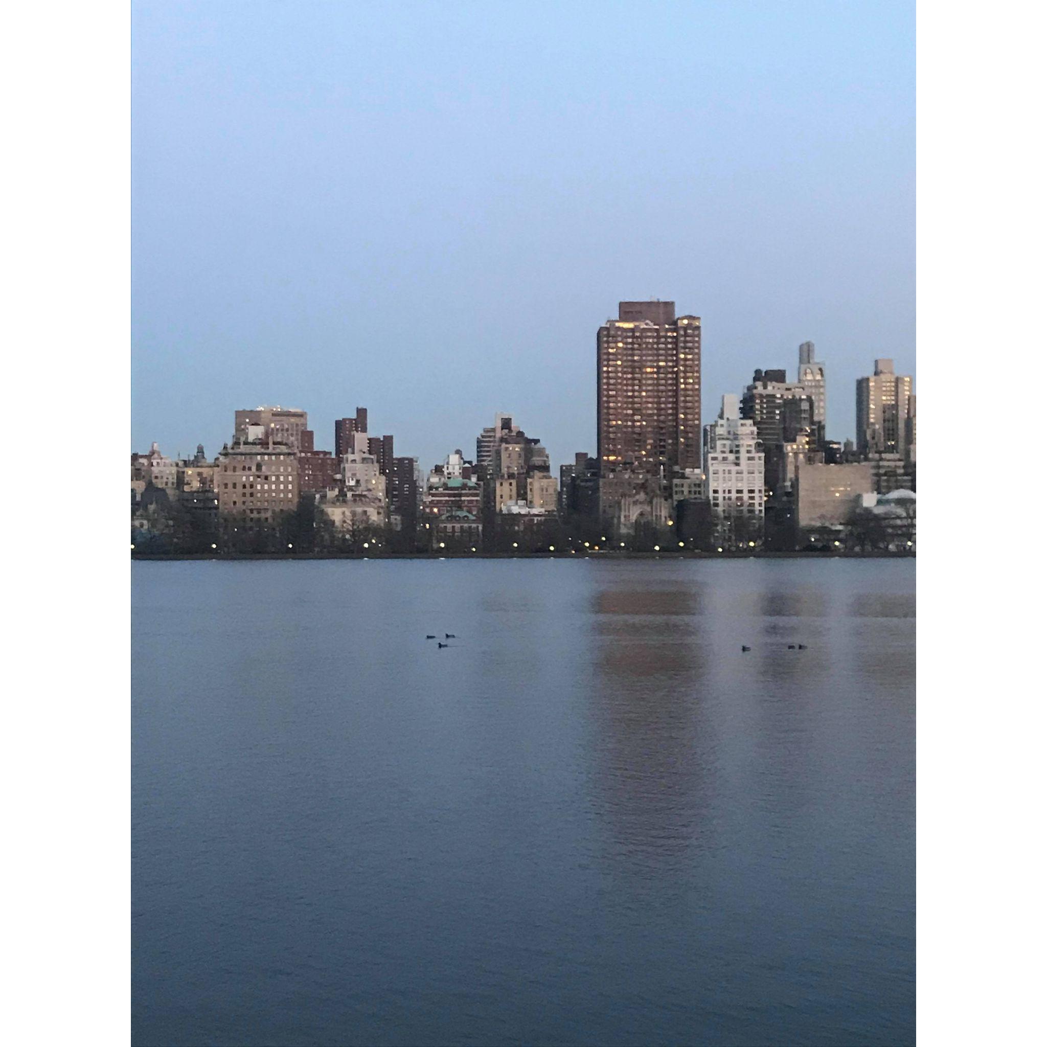 a daytime shot across the Central Park Reservoir