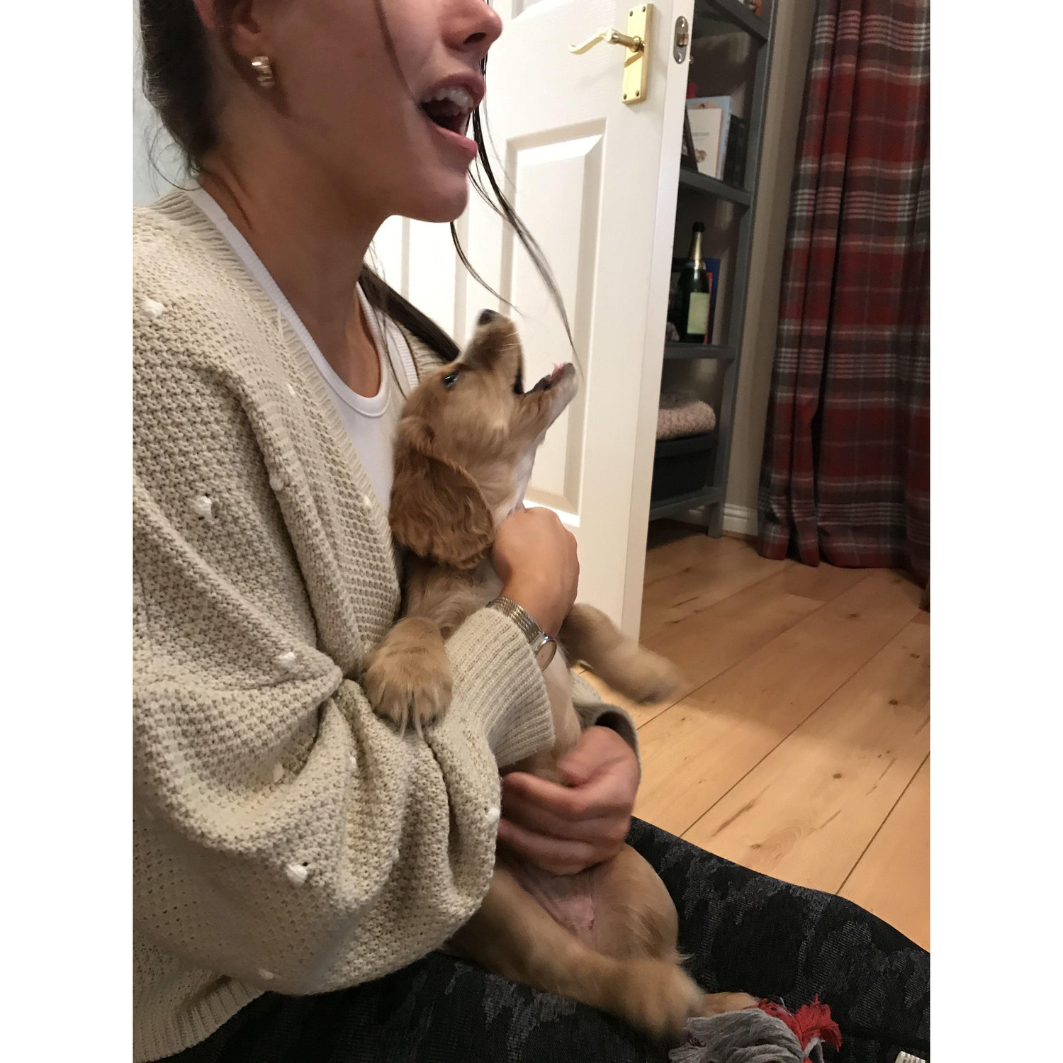 we first met Sula the Davidson family dog