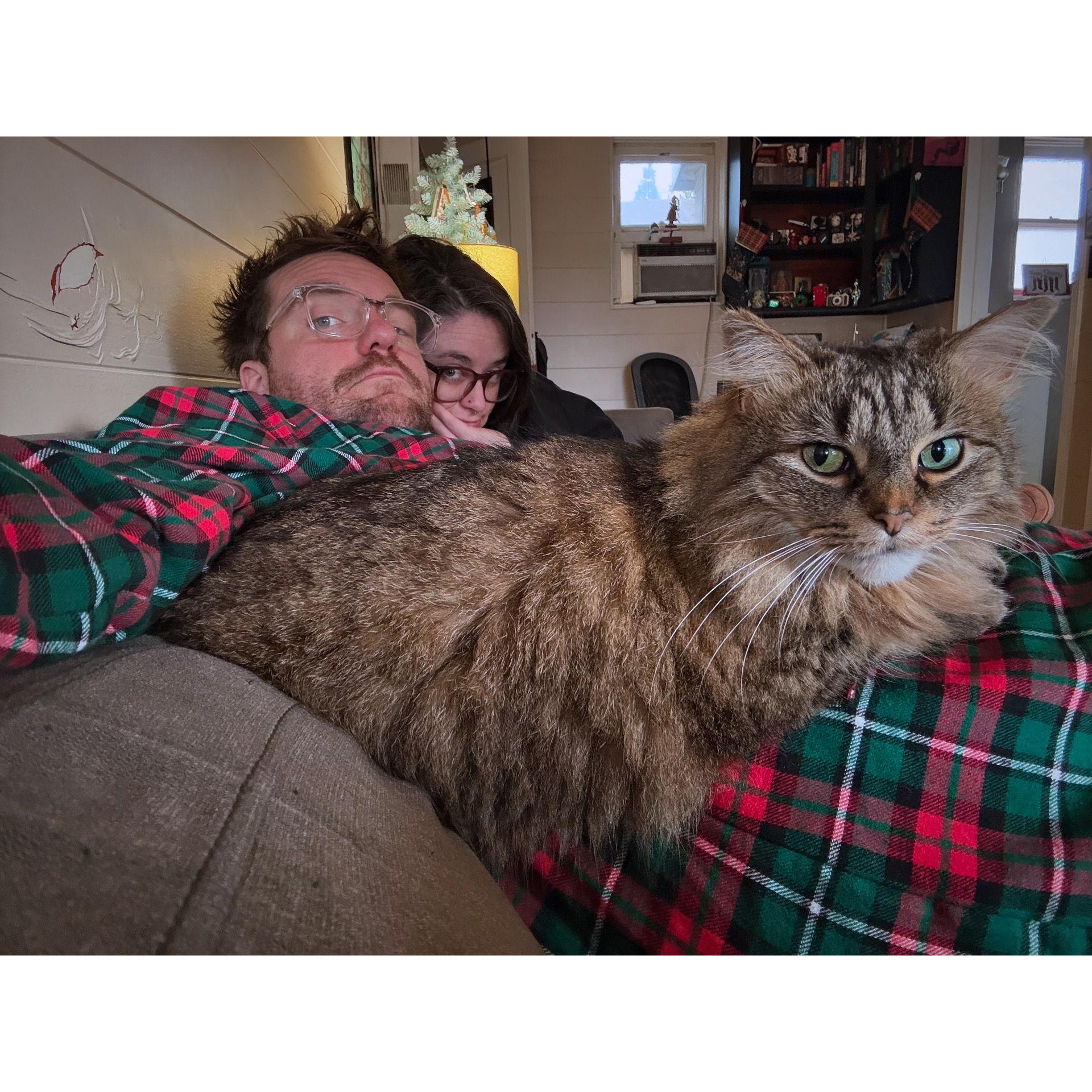 Family Christmas portrait, 2024