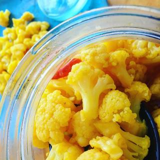Fermented Vegetable Making Kit