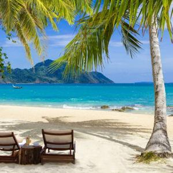 Honeymoon Fund
