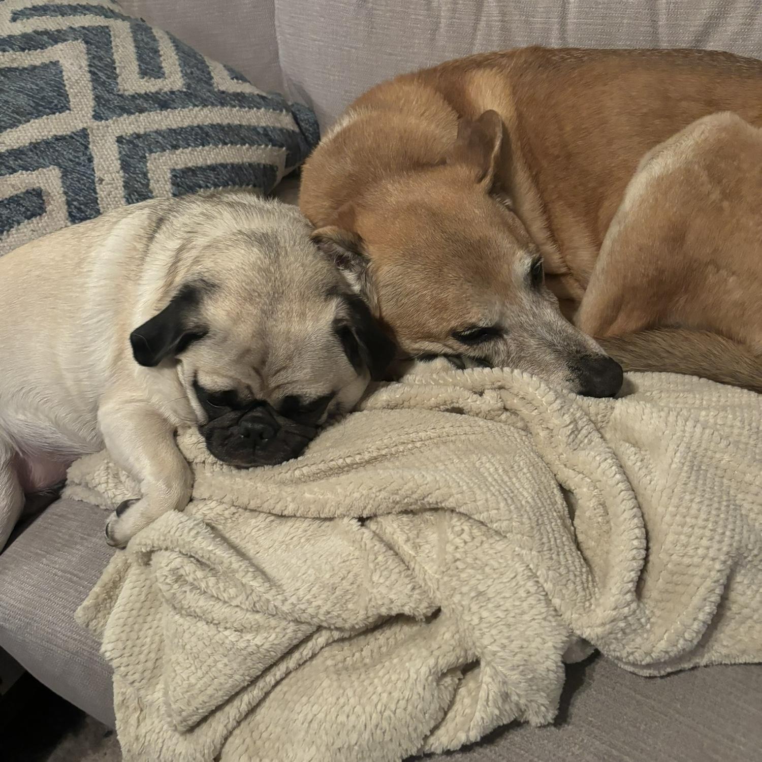 Kiva and Shi!❤️❤️❤️