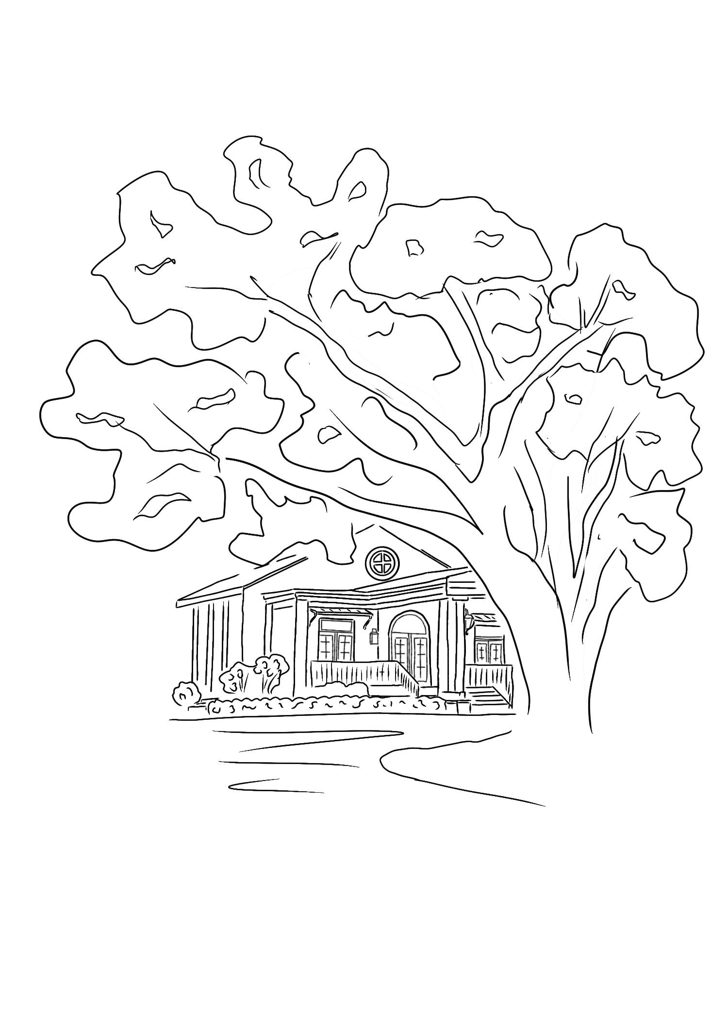 The Wedding Website of Kate Gary and Gray Westervelt