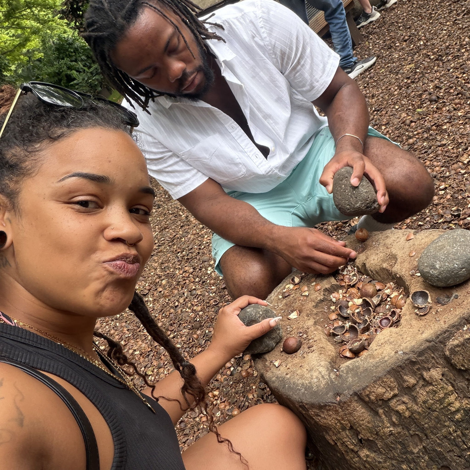 Cracking macadamia nuts in Hawai'i
