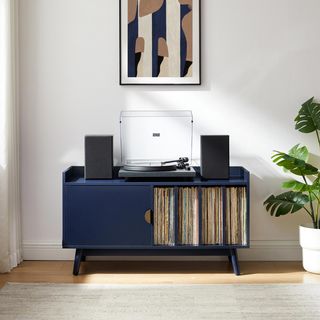 Skylar Record Cabinet with Storage Console