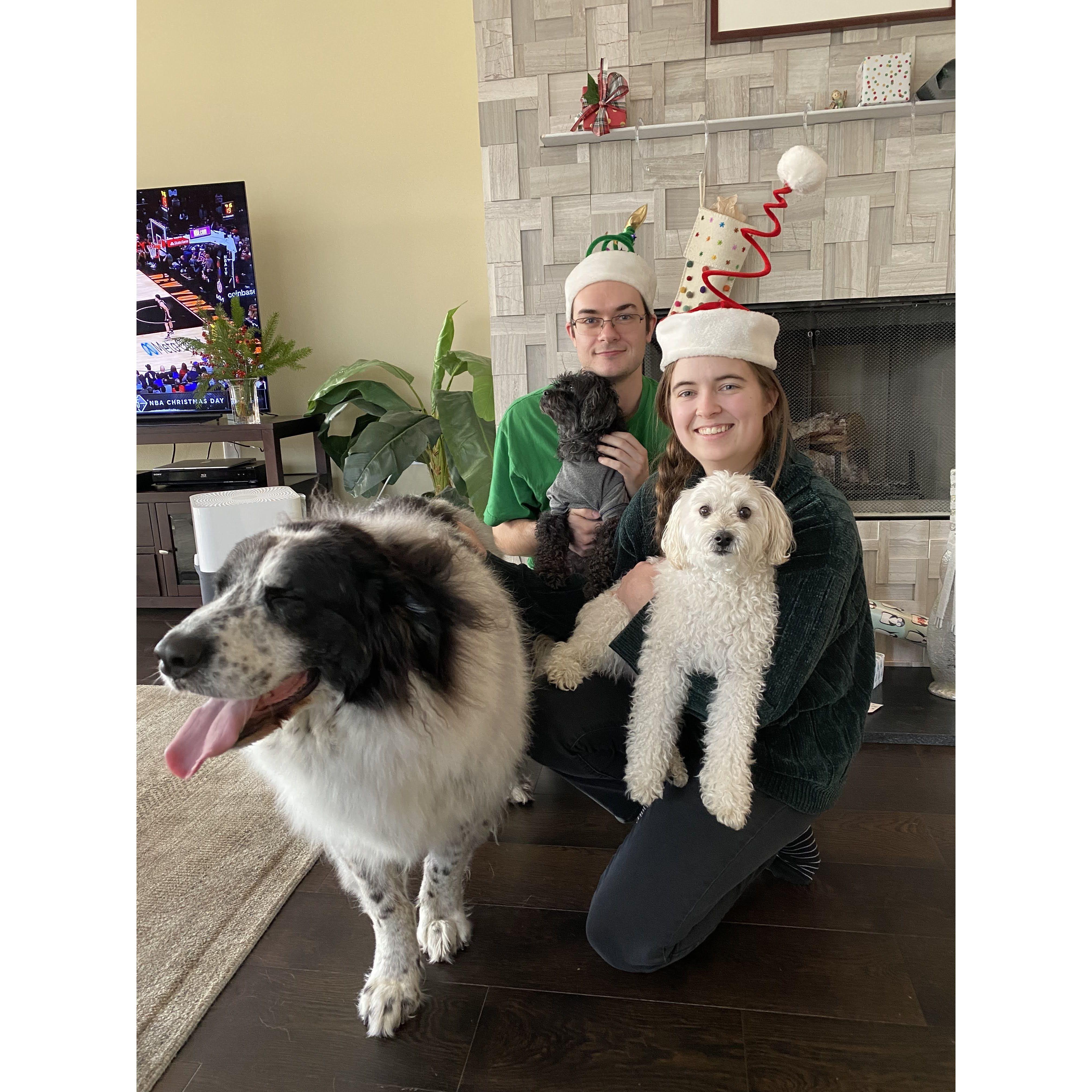 Christmas with the pups