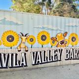 Avila Valley Barn