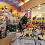 Cabela's