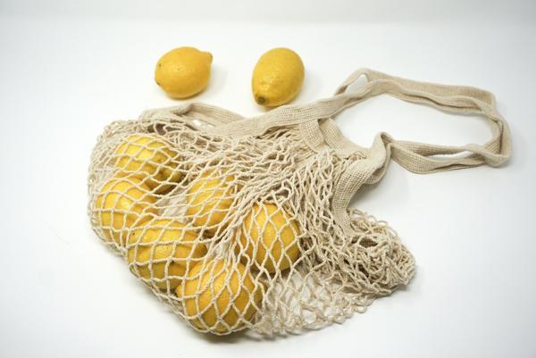 Organic Cotton Mesh Canvas Bag