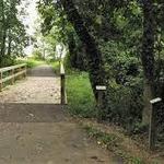 Buckhannon River Walk Trail